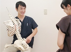 茨城妊活はり灸治療院assist　骨模型